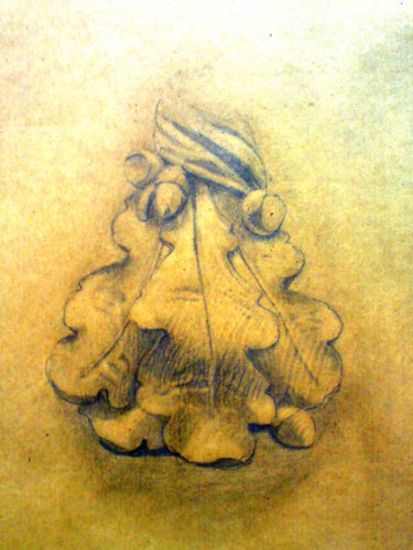 Feuille De Chêne